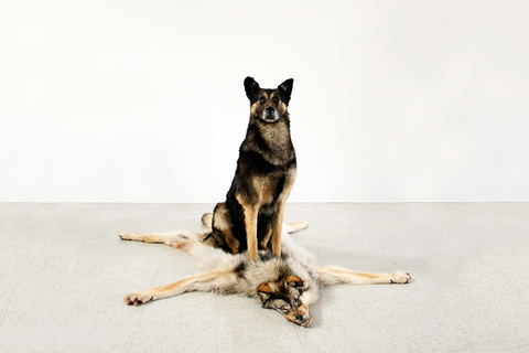 Лекция за 5 минут: *Александр Эткинд о внутренней колонизации России*