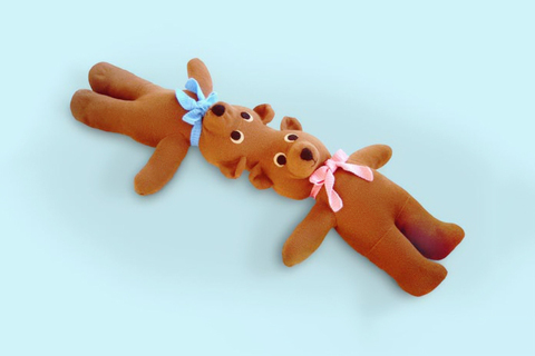 Быстрое чтение: *отличается ли мужской мозг от женского?*