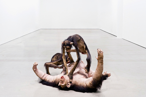 Клин Дарвина: *обратная сторона неограниченной конкуренции в жизни и экономике*