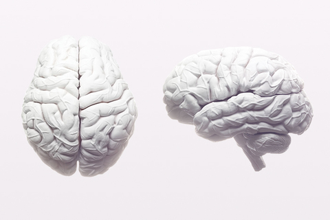 Звуки темноты: *что музыкант-дислексик может рассказать о строении мозга?*