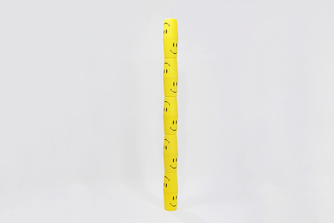 Быстрое чтение: *у человека даже не 6, а всего 4 эмоции* Быстрое чтение: *у человека даже не 6, а всего 4 эмоции*