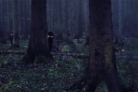 Ужас ужас: *топ-5 самых распространенных кошмаров*