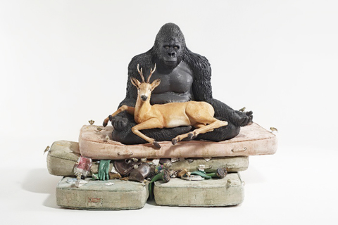 Быстрое чтение: *справедливость — результат эволюции*