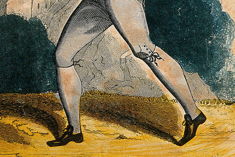 От всадника к велосипедисту: *Адольф Лоос о том, как способ передвижения меняет моду на обувь*