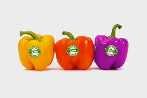 Михаил Гельфанд: «Как бороться с предрассудками»