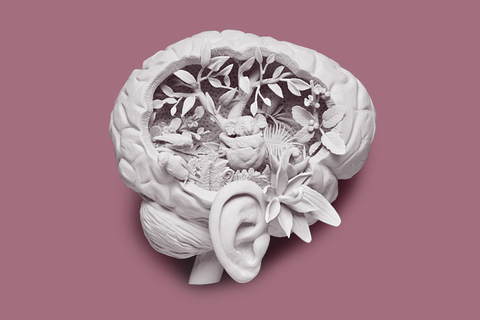 Голоса в голове: *нейроученый рассказывает о природе слуховых галлюцинаций*