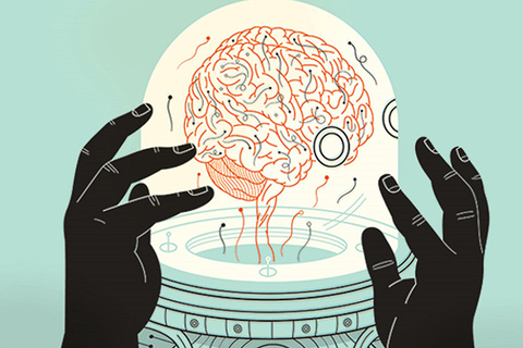 Эмоциональная наука: Анна Свердлик о природе математики с точки зрения нейроученых Эмоциональная наука: Анна Свердлик о природе математики с точки зрения нейроученых