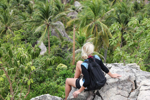 Письмо №146, из Университета им. Короля Чулалонгкорна Письмо №146, из Университета им. Короля Чулалонгкорна