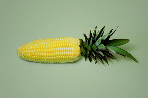 Выйти из леса: что почитать, если вы до сих пор боитесь ГМО Выйти из леса: что почитать, если вы до сих пор боитесь ГМО