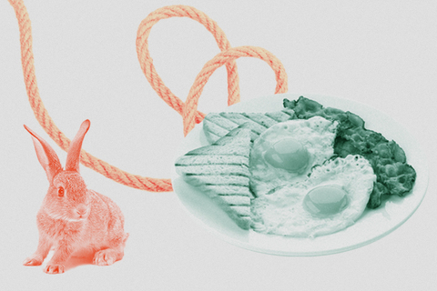 Полоса удачи и кроличья лапка: 10 заблуждений в статистике