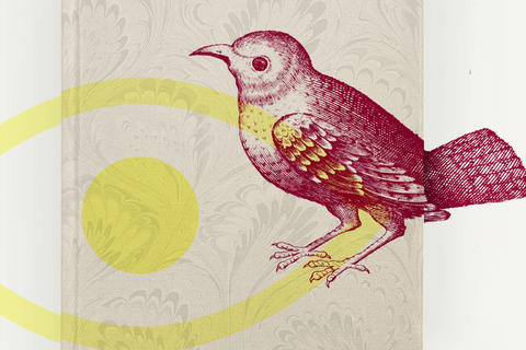 Вирус жизни и нейтронные звезды: зачем идти на фестиваль премии «Просветитель»