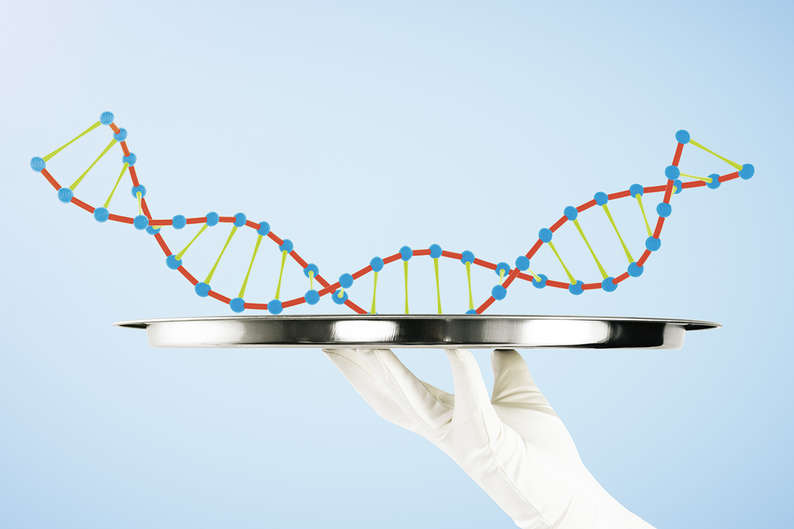 Старый жесткий диск и гены мамонта: долго ли хранится ДНК и откуда в ней мусор Старый жесткий диск и гены мамонта: долго ли хранится ДНК и откуда в ней мусор