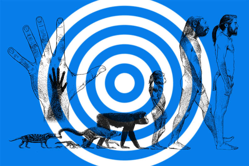 Новые виды людей: 5 сценариев биологического будущего человека Новые виды людей: 5 сценариев биологического будущего человека