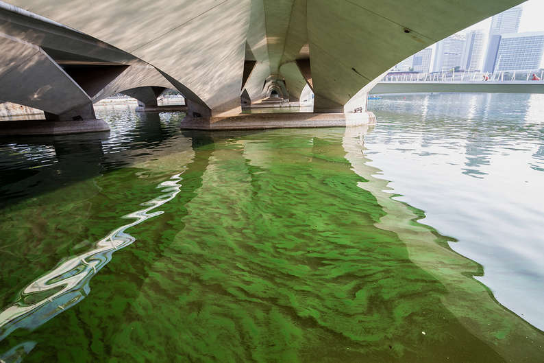 Яды промышленных масштабов: как химикаты из косметики и лекарств отравляют нашу жизнь Яды промышленных масштабов: как химикаты из косметики и лекарств отравляют нашу жизнь