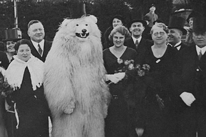 TeddyBär под свастикой: Германия на снимках 1920–60-х годов с подозрительным медведем в главной роли TeddyBär под свастикой: Германия на снимках 1920–60-х годов с подозрительным медведем в главной роли