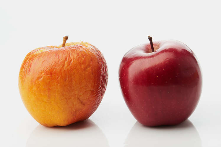 Александр Коляда: «Научные подходы к продлению жизни»