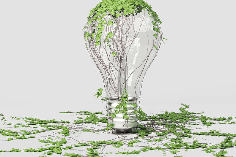 Цикл жизни: как подружить экономику и экологию Цикл жизни: как подружить экономику и экологию