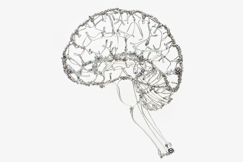 Вопрос на T&P: что убивает нервные клетки и можно ли все-таки их восстановить?