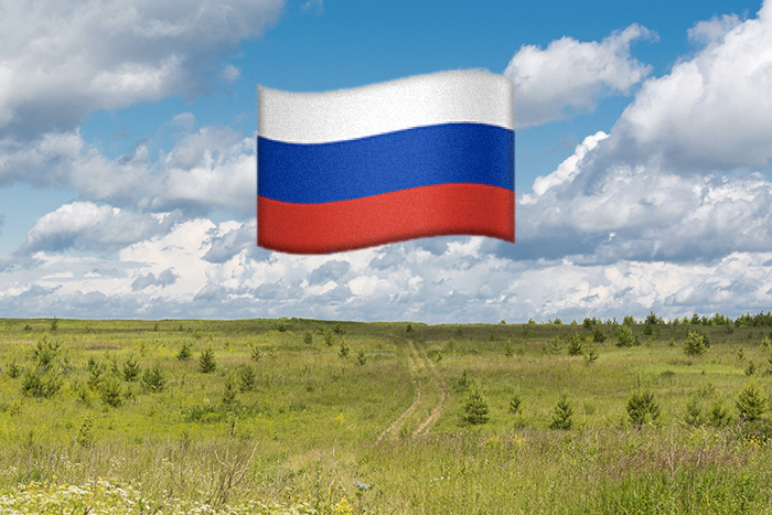 Понять Россию и не умереть: 13 материалов о русском счастье, национальном вопросе и неособом пути