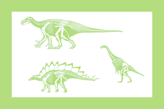 Динозавровый ренессанс: палеонтолог об эволюции, которая превратила тираннозавра в мем