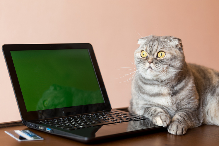 Джеймс Глик: «Информационное общество: как мы здесь оказались»