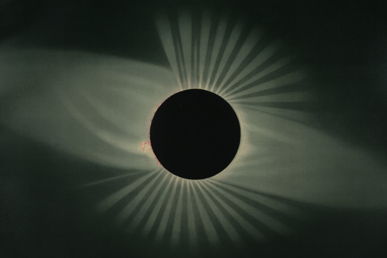 Находка T&P: история науки в книжных иллюстрациях