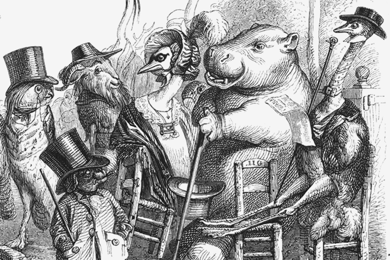 Изоляция в толпе: как зоопарк из места просвещения превратился в памятник маргинализации Изоляция в толпе: как зоопарк из места просвещения превратился в памятник маргинализации