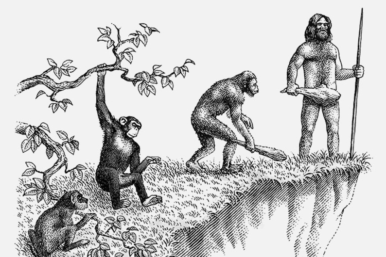 Копипаст суперличностей: как образование, бизнес и мозг меняются под давлением технологий