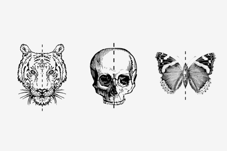 «Человек на 90% состоит из пустоты»: физик Дмитрий Побединский отвечает на 7 жизненных вопросов