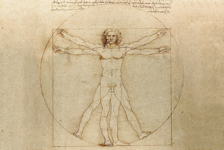 Пер Олаф Фельгеро: «Эстетика и когнитивные процессы с точки зрения эволюции»