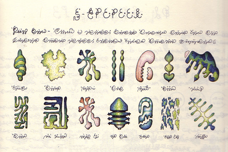 Как устроена криптография: загадки Аристотеля и тайные послания на автомобильных номерах