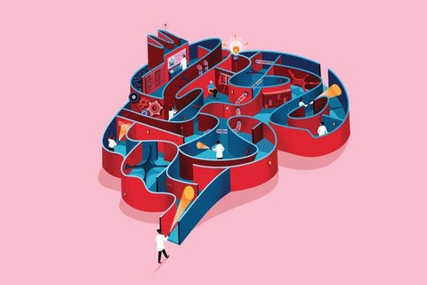 5 книг, *которые помогут разобраться в нейропсихологии*