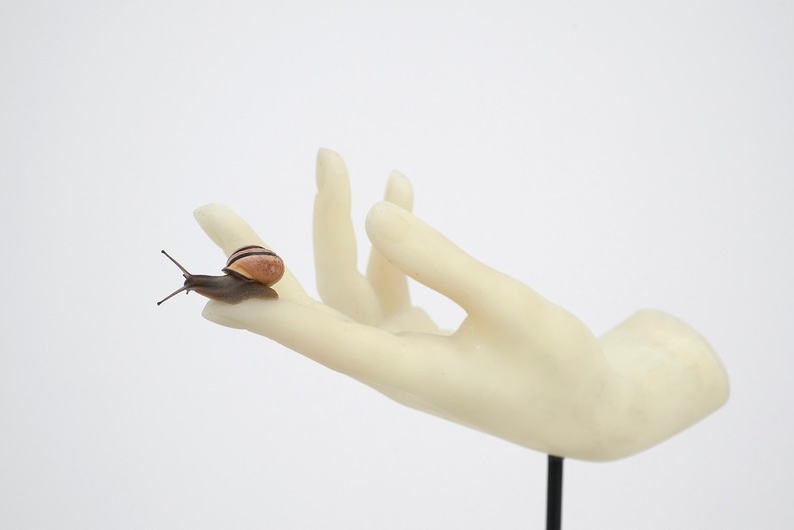 «Что делать, если вы в отчаянии?»: 12 истин писательницы Энн Ламотт