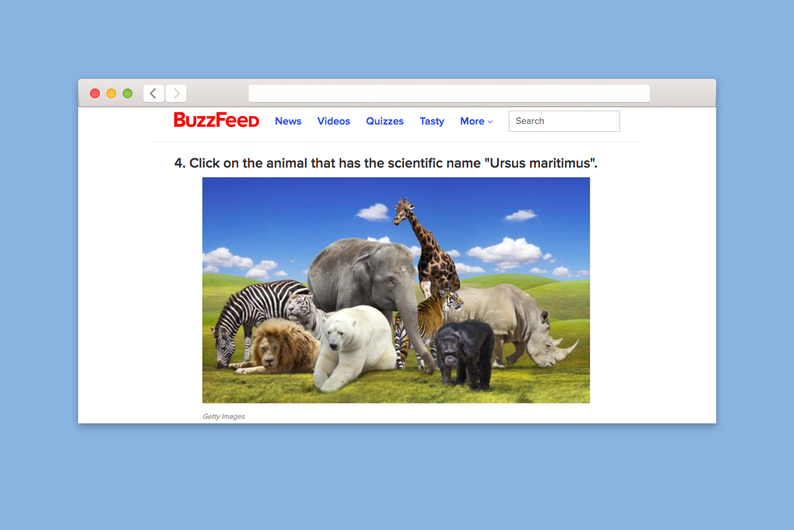 Проверка T&P: как много случайных фактов вы знаете