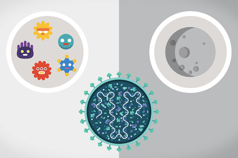 Видео на T&P: чем живое отличается от мертвого? Видео на T&P: чем живое отличается от мертвого?