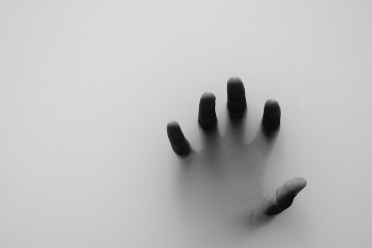 Влад Муравьёв: «Нейробиология страха»