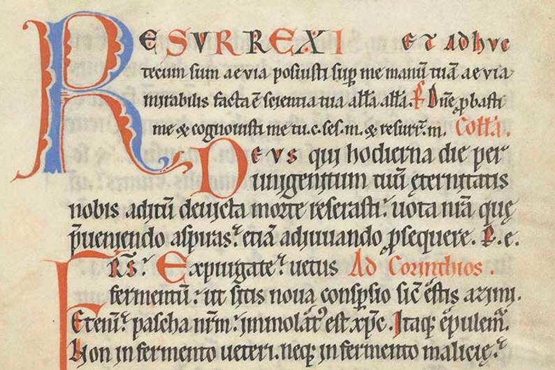 Быстрое чтение: как популярность языка влияет на его грамматику? 