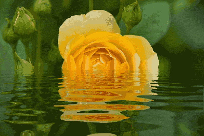 Научный взгляд на оргазм и любовь к мужским рубашкам: 7 видеолекций для женщин и всех, кто ими интересуется Научный взгляд на оргазм и любовь к мужским рубашкам: 7 видеолекций для женщин и всех, кто ими интересуется