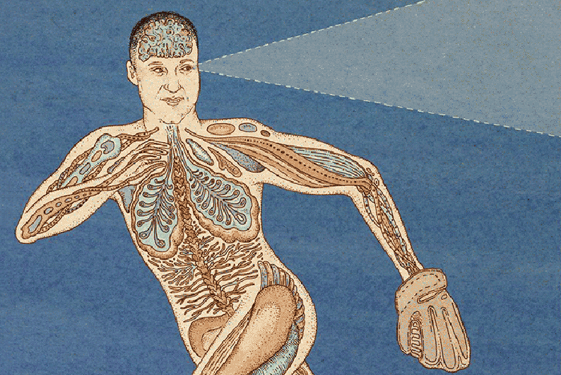 Нечеловеческая личность: почему люди больше не высшие существа и какие права есть у животных Нечеловеческая личность: почему люди больше не высшие существа и какие права есть у животных