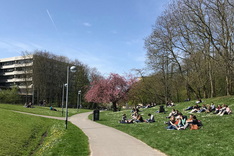 Письмо № 170: как поступить в Свободный университет Брюсселя, чтобы изучать проблемы российских медиа Письмо № 170: как поступить в Свободный университет Брюсселя, чтобы изучать проблемы российских медиа