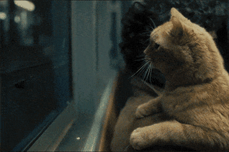 Сбежать в кругосветку: 8 нон-фикшн-книг об отчаянных путешествиях, диких странах и городах из прошлого Сбежать в кругосветку: 8 нон-фикшн-книг об отчаянных путешествиях, диких странах и городах из прошлого