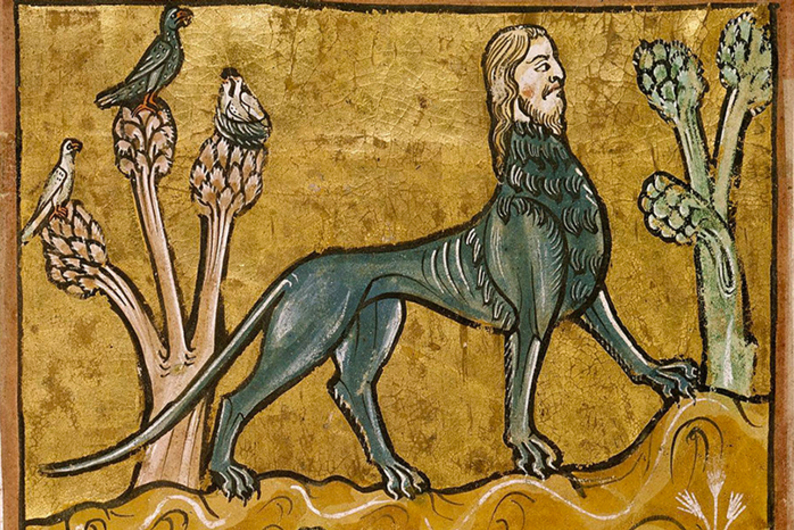 Питомец-телепат: могут ли собаки предсказывать будущее, а попугаи — читать ваши мысли