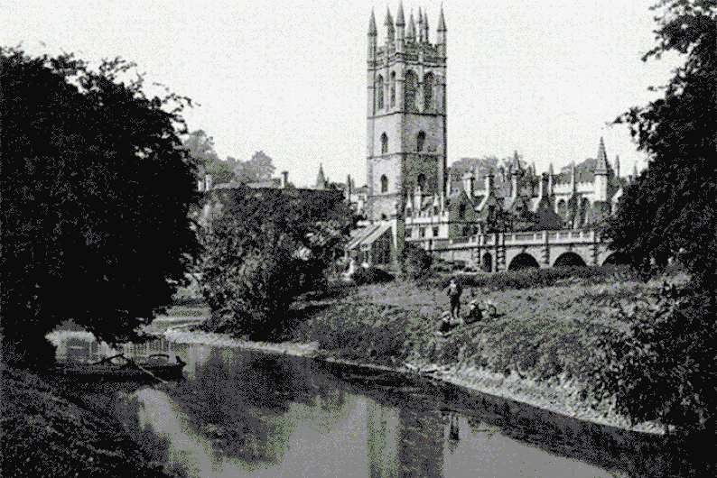 Оксфорд для всех желающих: как устроен первый блокчейн-университет