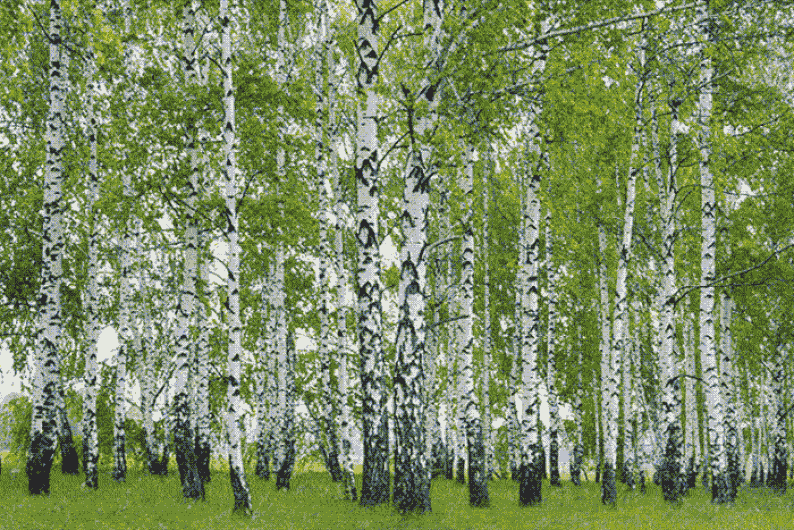 Непригодно для жизни: как в России охраняют здоровье и окружающую среду