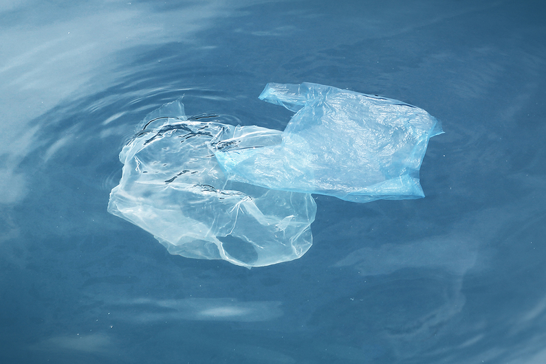 Проверка T&P: насколько ваш образ жизни вреден для природы