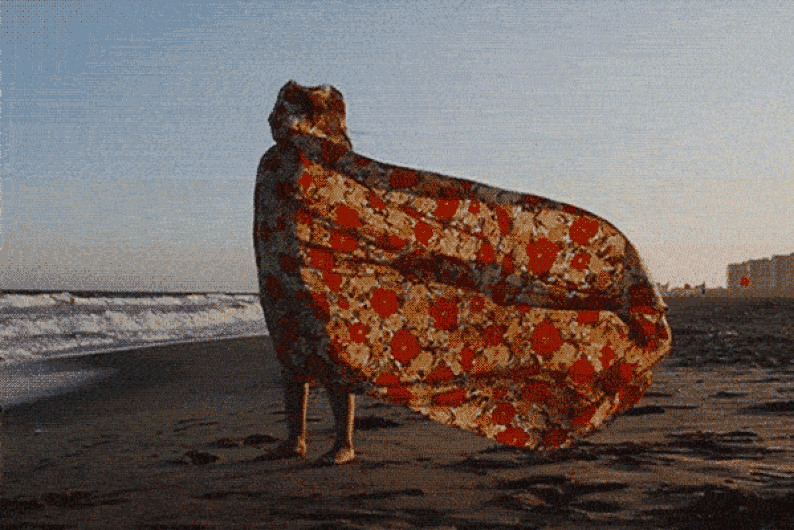 Зимняя сказка: 14 волонтерских грантов в теплых странах Зимняя сказка: 14 волонтерских грантов в теплых странах