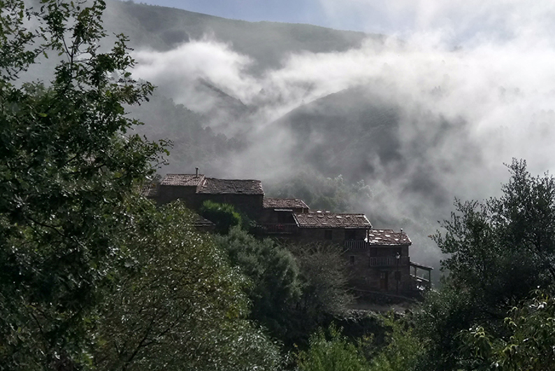 За облаками, в тени черешен: как две подруги превратили заброшенную деревню в арт-резиденцию