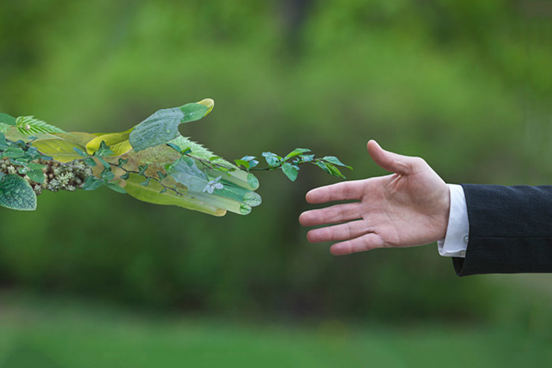 Аромат, нектар и боль: как растения манипулируют животными и людьми Аромат, нектар и боль: как растения манипулируют животными и людьми