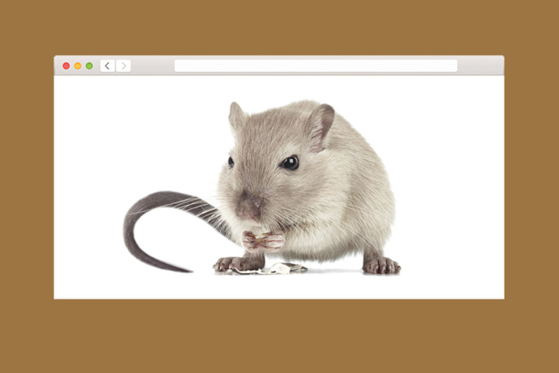 Как социальные предприниматели придумывают простые решения сложных проблем Как социальные предприниматели придумывают простые решения сложных проблем