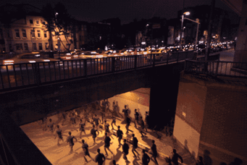 Все бегут — и я бегу: как культурная эволюция сделала нас конформистами